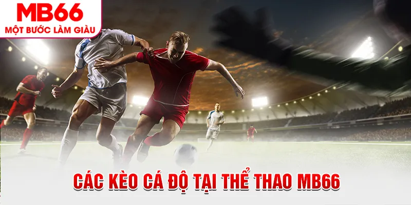 Các kèo cá độ tại thể thao MB66