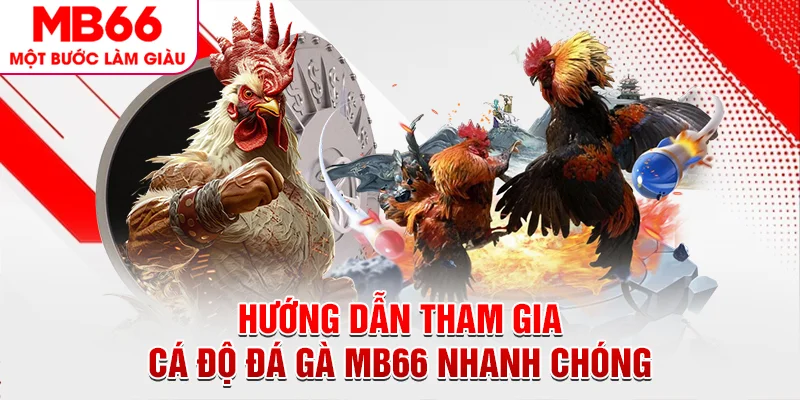 Hướng dẫn tham gia cá độ đá gà MB66 nhanh chóng