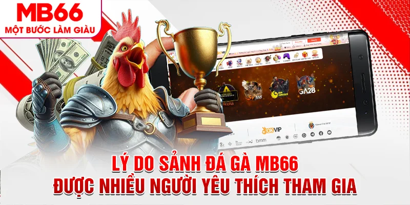Lý do sảnh đá gà MB66 được nhiều người yêu thích tham gia