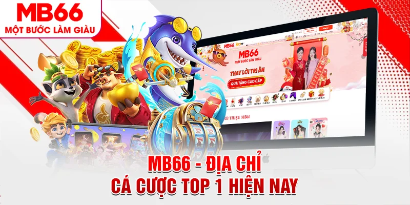MB66 – Địa chỉ cá cược top 1 hiện nay