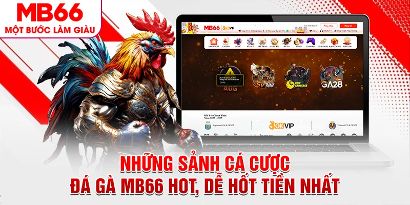 Những sảnh cá cược đá gà MB66 hot, dễ hốt tiền nhất