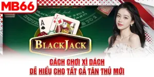 Cách Chơi Xì Dách Dễ Hiểu Cho Tất Cả Tân Thủ Mới