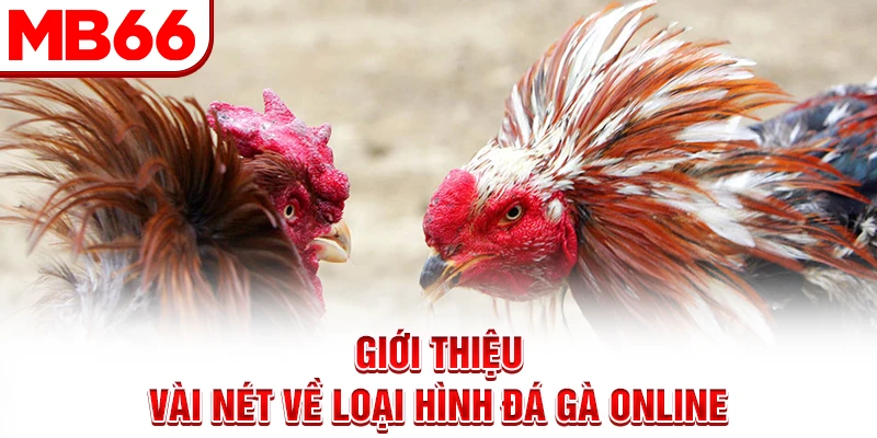 Giới thiệu vài nét về loại hình đá gà online