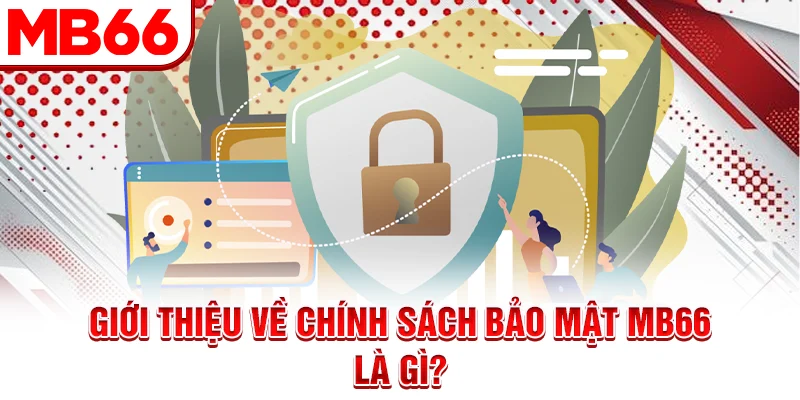 Giới thiệu về chính sách bảo mật MB66 là gì?
