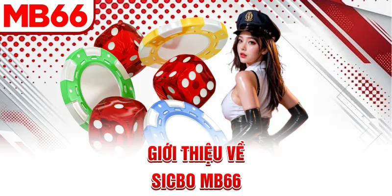 Giới thiệu về Sicbo MB66