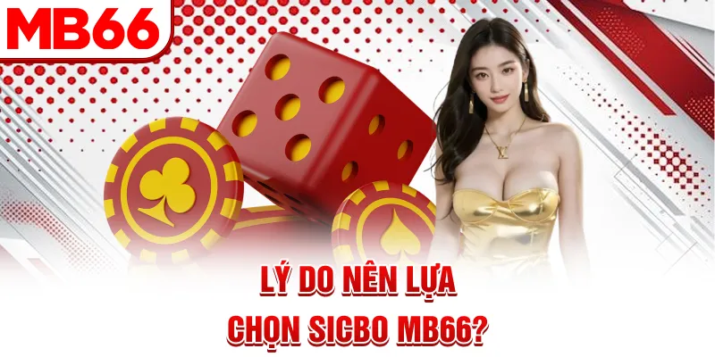 Lý do nên lựa chọn Sicbo MB66?