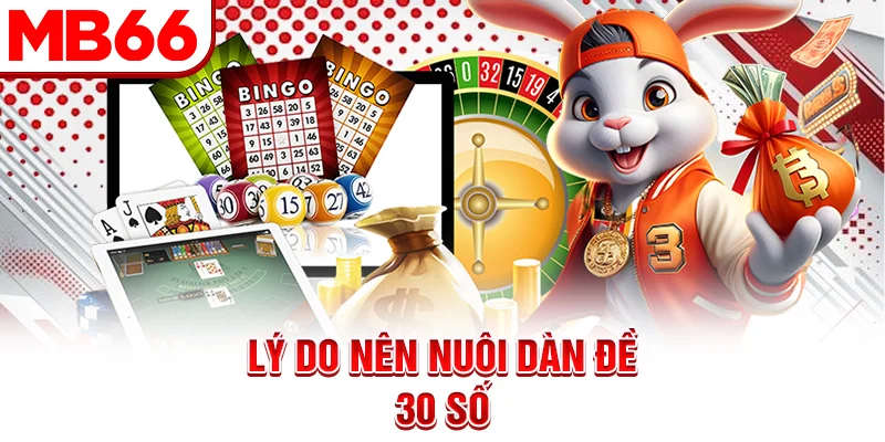 Lý do nên nuôi dàn đề 30 số Lý do nên nuôi dàn đề 30 số