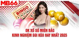 Ok Xổ Số Miền Bắc - Kinh Nghiệm Soi Kèo Hay Nhất 2025