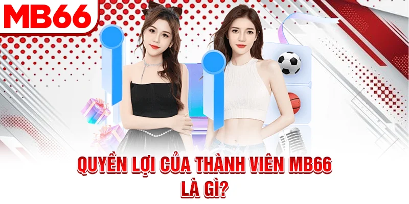 Quyền lợi của thành viên MB66 là gì? Quyền lợi của thành viên MB66 là gì?