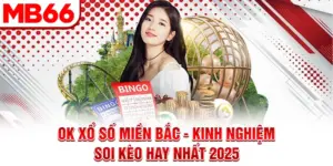 Ok Xổ Số Miền Bắc - Kinh Nghiệm Soi Kèo Hay Nhất 2025