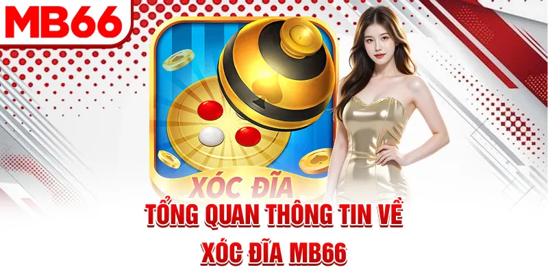 Tổng quan thông tin về Xóc Đĩa MB66 Tổng quan thông tin về Xóc Đĩa MB66